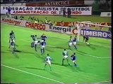 Palmeiras 1x2 Cruzeiro  - 1996 - Copa do Brasil 1996 Final CRUZEIRO CAMPEÃO