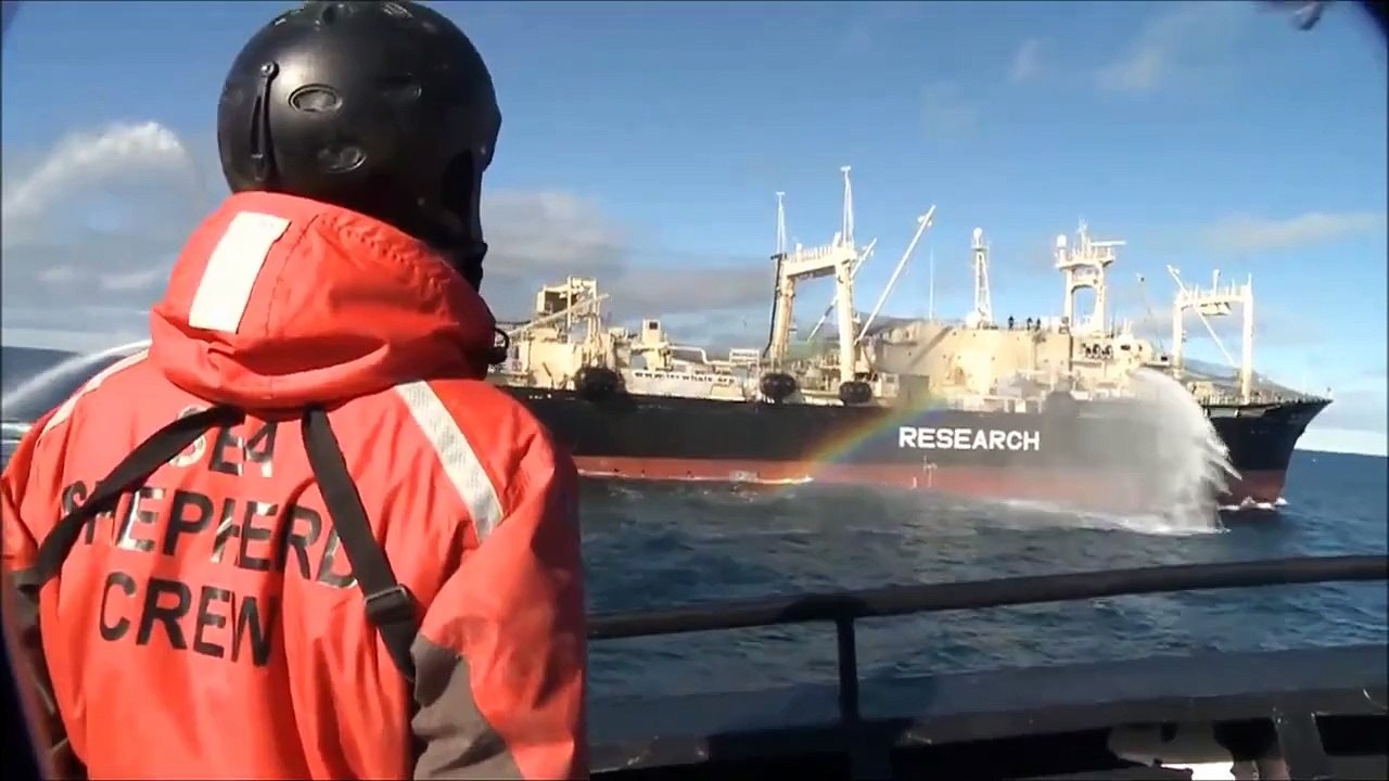 Sea Shepherd Australia - Livin' On The Edge!