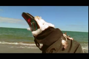 PBS NATURE: Ravens - Trailer