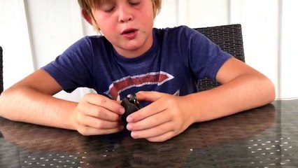 Animal atlas eastern painted turtle