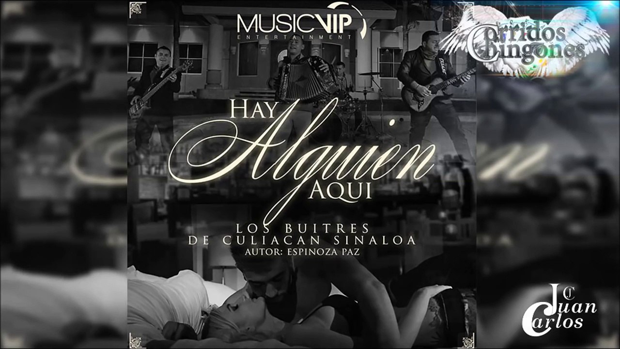 Hay Alguien Aqui  "Los Buitres De Culiacán"