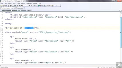 Web Design  Appending Text