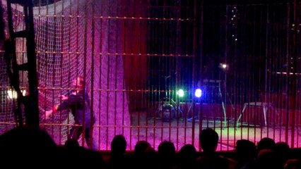 Le Cirque de St Petersbourg à Quimper le 28 juillet 2015 #2