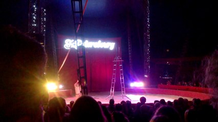 Le Cirque de St Petersbourg à Quimper le 28 juillet 2015 #4