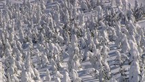 美しい日本の風景 蔵王の樹氷　silver frost 2012　Beautiful snow scenery of ZAO-JAPAN