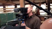 Horse Nibbles Cameraman's Ear - Funny Animals