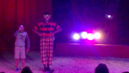 Le Cirque de St Petersbourg à Quimper le 28 juillet 2015 #8