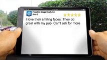 Pawsitive Image Dog Salon  Impressive 5 Star Review by John S.