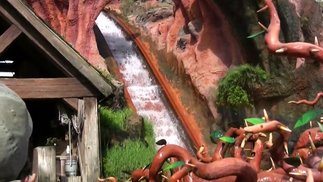 Splash Mountain Ride-through - Magic Kingdom - Walt Disney World