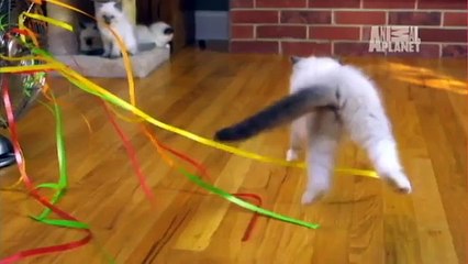 SK수원출장안마『OIO-2156-42Q2」 D언제라도생각나는 화끈 수원출장안마,안산출장안마/* 수원출장안마