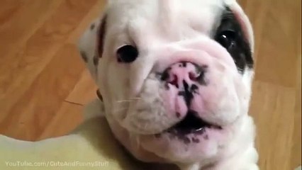 The안양출장안마 &０１０-2I56-42０2 사랑해요고객님~ 분당출장안마*수원출장안마*안양출장안마