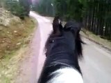 Hur man peppar sin häst inför en galopp