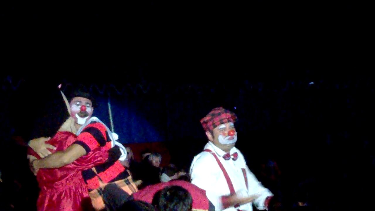 Le Cirque de St Petersbourg à Quimper le 28 juillet 2015 #13