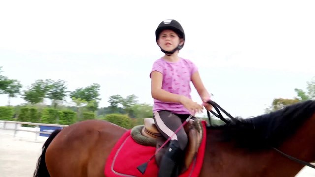 CCE Club 2 Jeune Cavalier Excellence