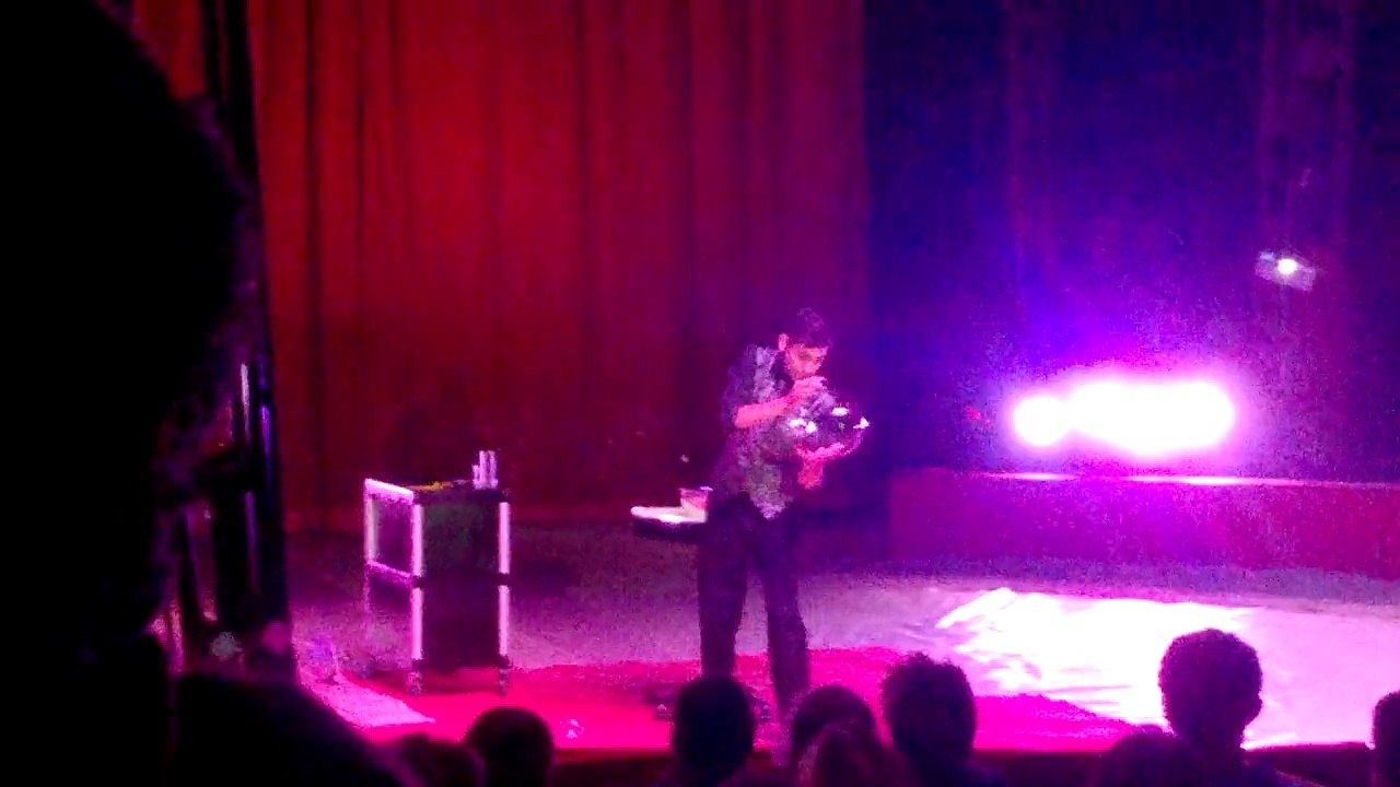 Le Cirque de St Petersbourg à Quimper le 28 juillet 2015 #14