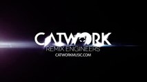 Catwork Remix Engineers Ft.Nezih ÜÇLER - Kalakaldım