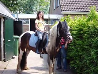 Guy in friesland