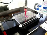 3D Bioprinting Tracheal Tissue