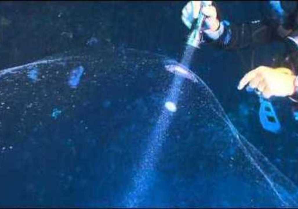 The Creature at the Bottom of the Deep
