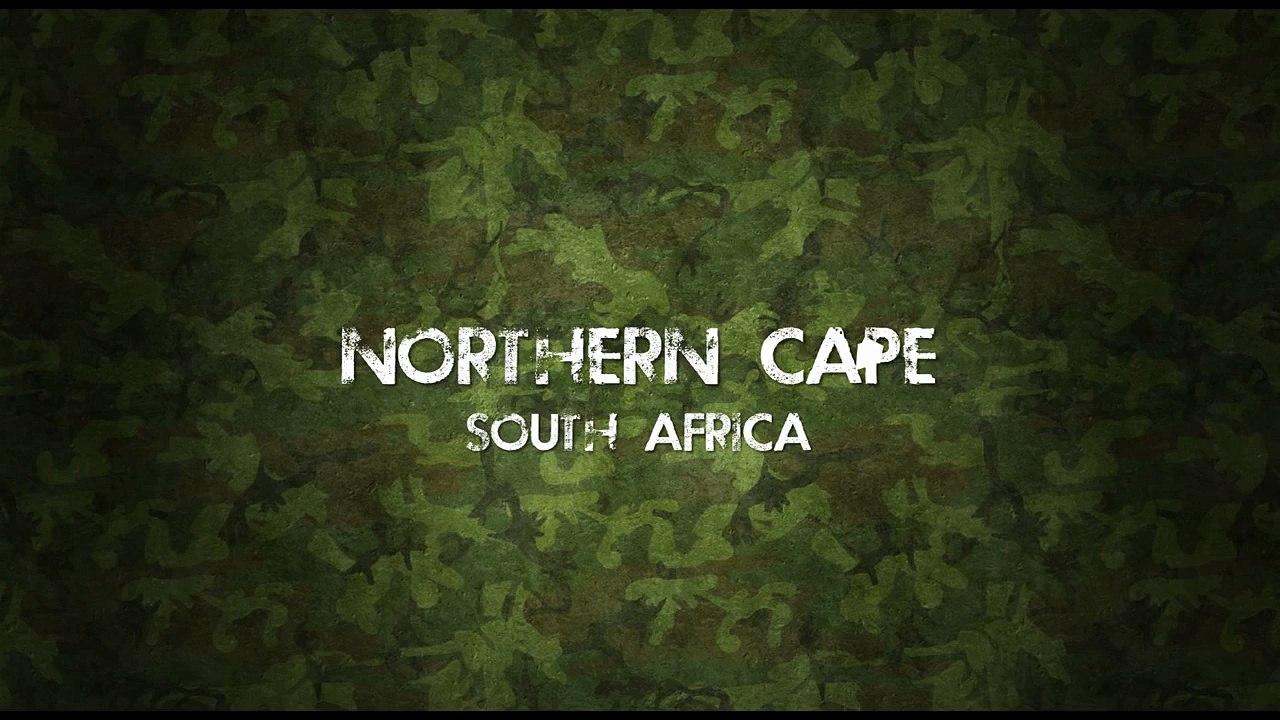 Vervet Monkey Bowhunt #2 | Hogshot Hunting