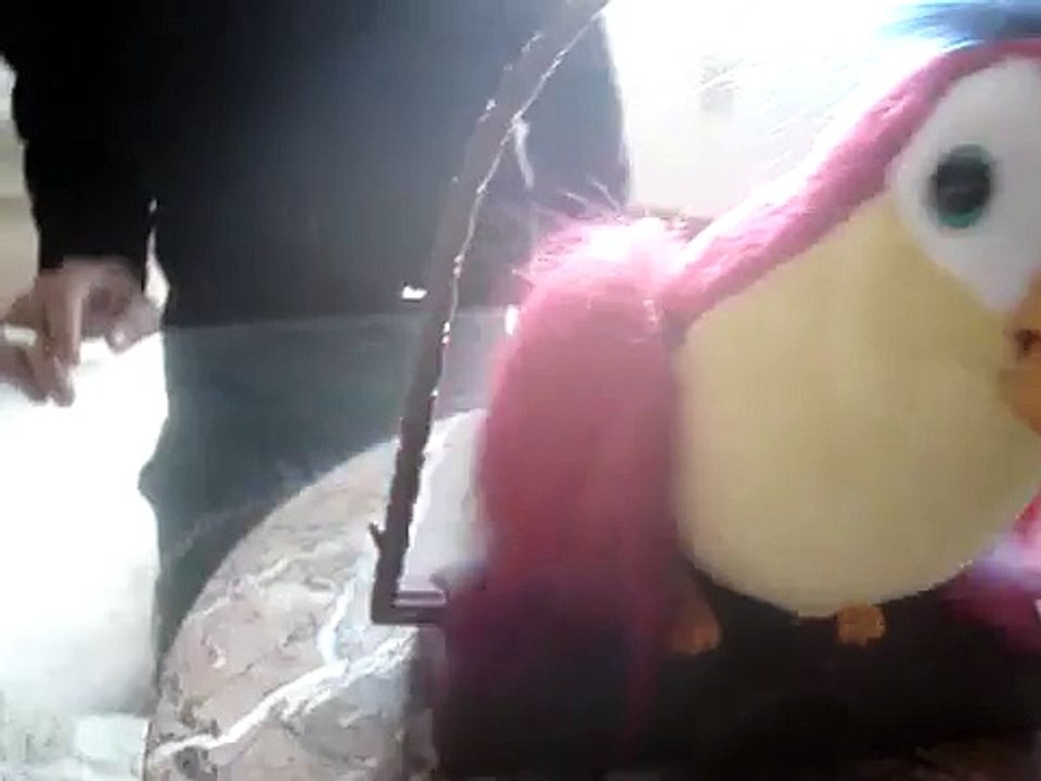 Parrot