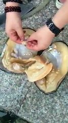 Original moti kaise bante aur milte he.