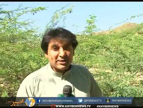 KHAPOONA ( Ep # 11 (27-06-2015) - Khapoona Episode 11 With Yousaf Jan Utmanzai