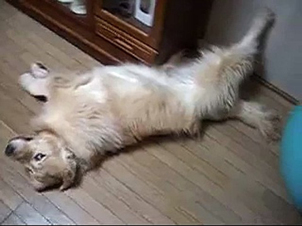 ＣＯＣＯちゃんの美脚！
