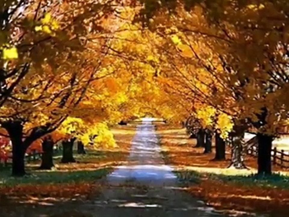 Beethoven: Turkish March - Marcha Turca