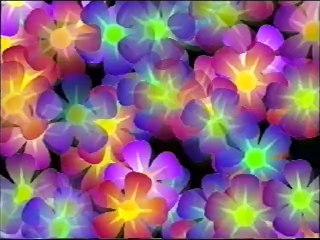 Нарізка з весілля