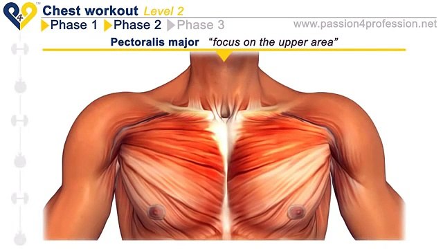 მკერდის კუნთების ვარჯიში 2LVL Chest traning Home workout