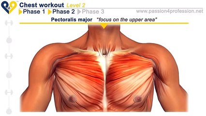 მკერდის კუნთების ვარჯიში 2LVL Chest traning Home workout