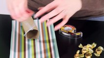Toilet Paper Roll Birthday Present | Brilliantly Bland Crafts