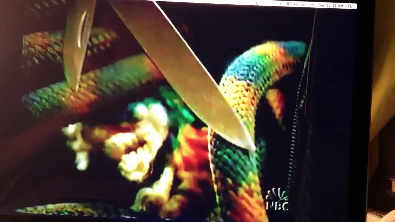 Aron Ralston explains how he cut off his arm