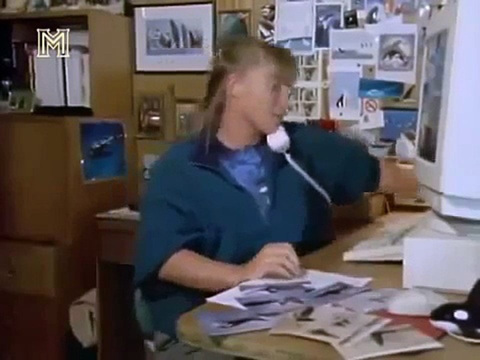 Orcas: Assassinas ou Vítimas? (Dublado) Documentário Completo Discovery Channel