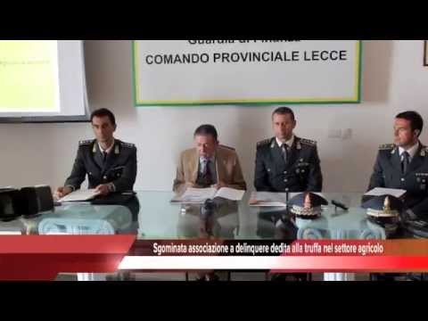 Sgominata associazione a delinquere per frode ai danni dell'UE, Tg 29 Luglio 2015