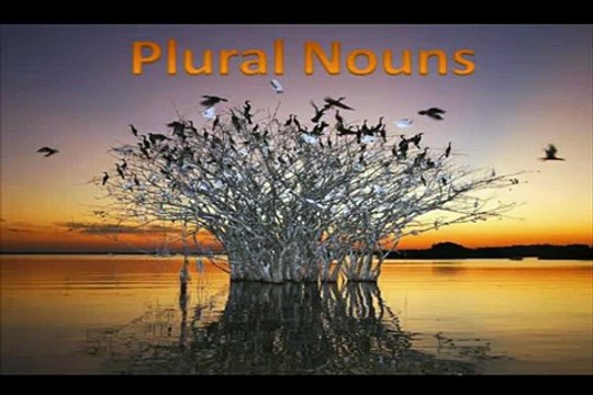 Plural Nouns