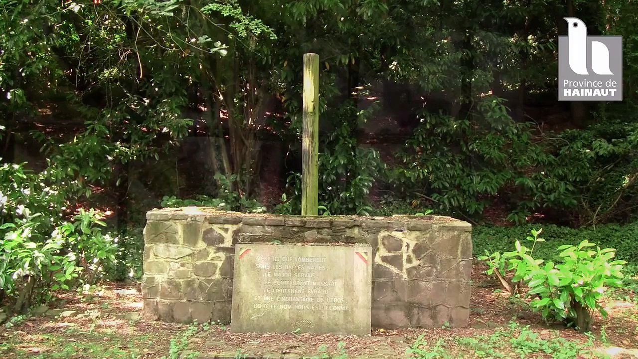 Graffs pour mémoire !