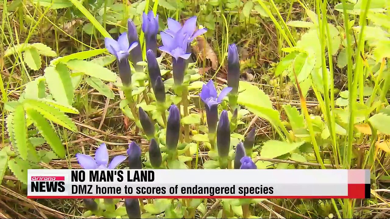 DMZ gains international recognition for its ecology