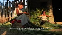 Traditional weaving of the Ecuadorian toquilla straw hat