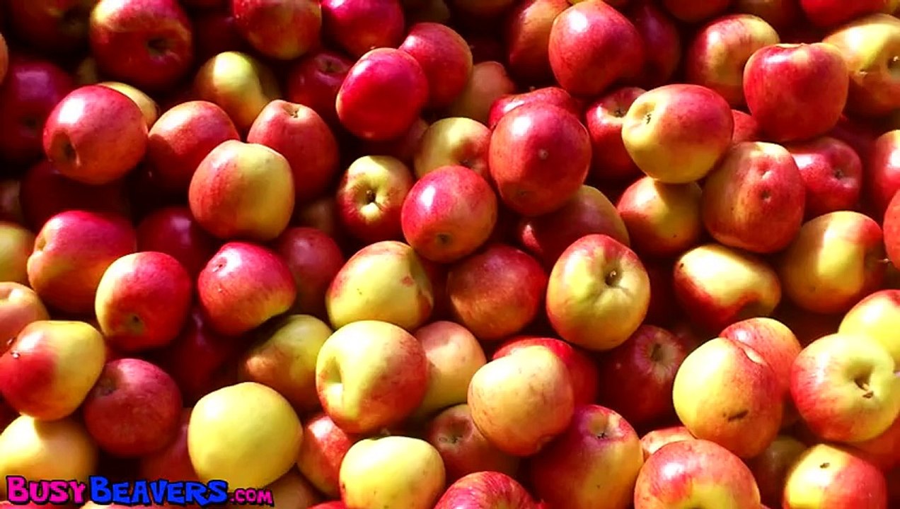 Apples Are Yummy' - Learn Fruits & Vegetables, Kids Song for Babies & Toddlers