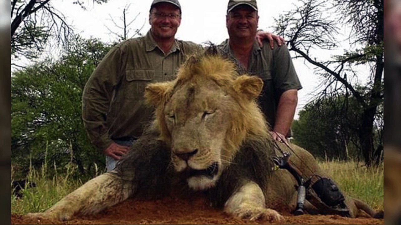Jimmy Kimmel Chokes Up Over the Death of Cecil the Lion
