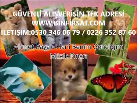 Ahmet Kaya __ Hani Benim Gençliğim