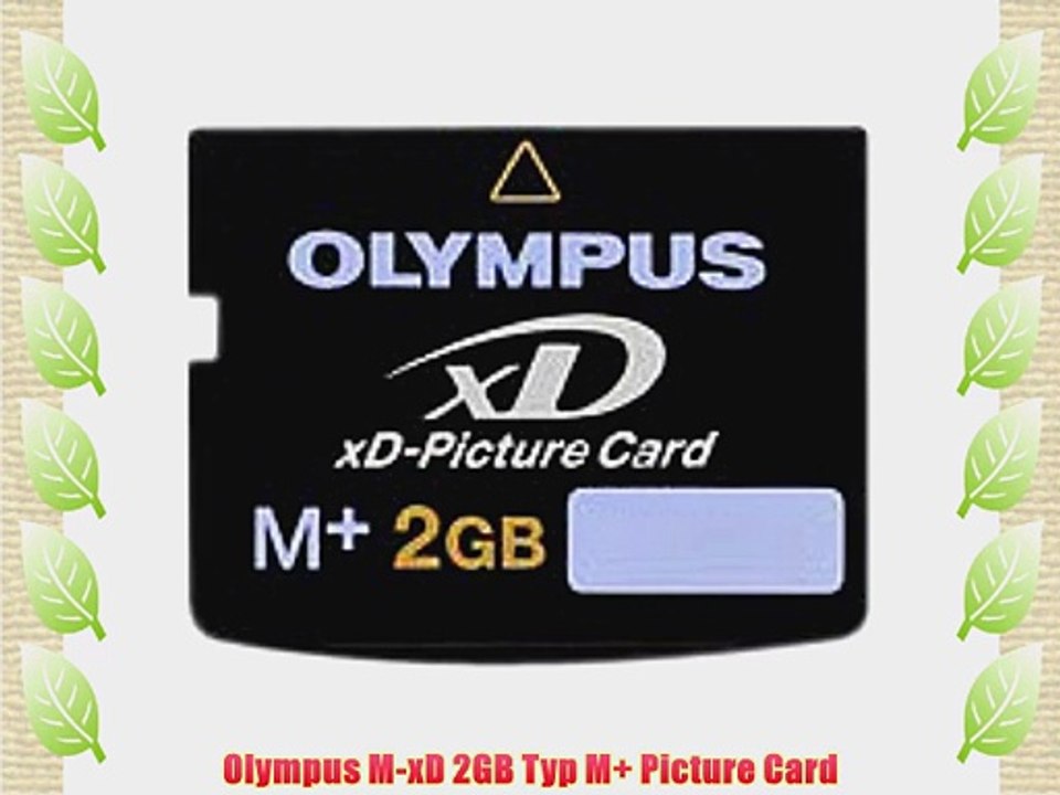 Olympus M-xD 2GB Typ M  Picture Card