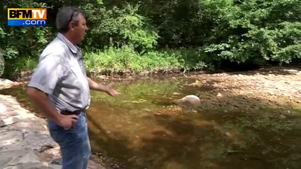 La Drôme et l'Ardèche souffrent de la sècheresse