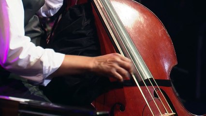 Stanley Clarke électrise Jazz in Marciac