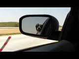 A Dog Trying To Catch Cars