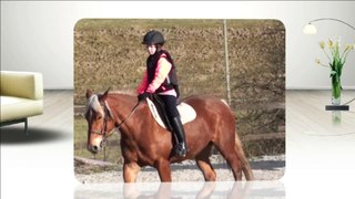 Equitation mars 2014