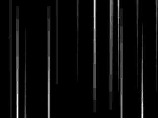 Experienced Male Models