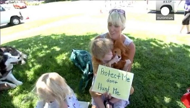 Cecil the lion: angry protesters gather outside Walter Palmer's office